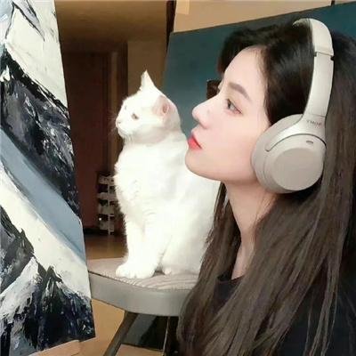 无境之兽